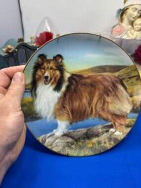 Danbury Mint Shetland Sheepdog Sheltie " Summer Outing" LE / 8 inch plate